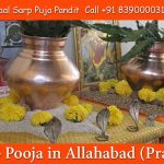 Kalsarp Pooja in Allahabad