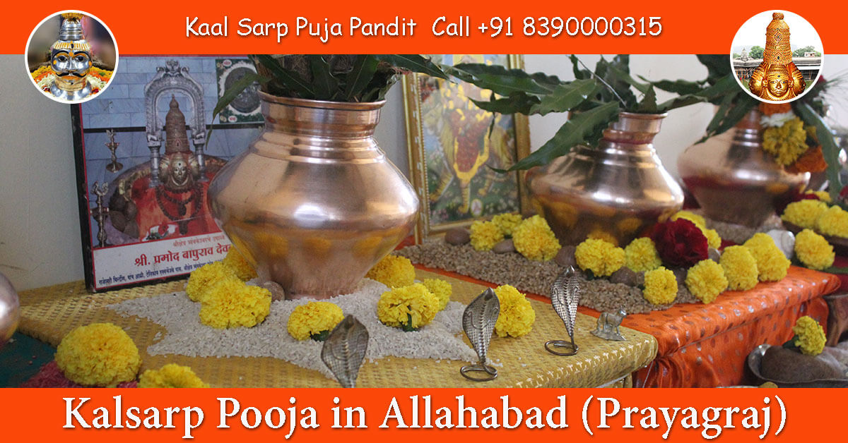 Kalsarp Pooja in Allahabad